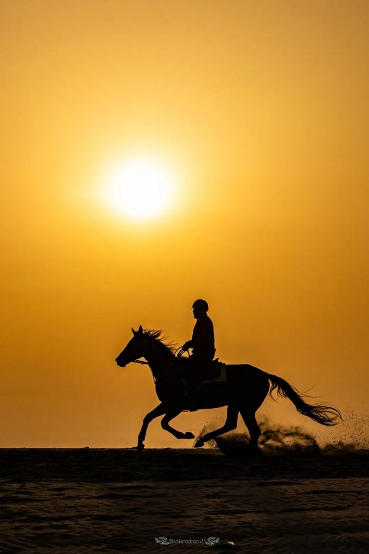 高市早苗连任;米兰冬奥男子花滑爆冷?《柯南》毛利兰声优病休 娜美声优代班?中森明菜复出巡演;| 百通板 高市早苗连任;米兰冬奥男子花滑爆冷?《柯南》毛利兰声优病休 娜美声优代班?中森明菜复出巡演;| 百通板