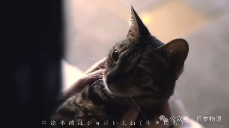 三位父亲,暴力与剥削的家——破碎的她17岁就靠卖身支撑家庭的日本女性震撼告白 三位父亲,暴力与剥削的家——破碎的她17岁就靠卖身支撑家庭的日本女性震撼告白