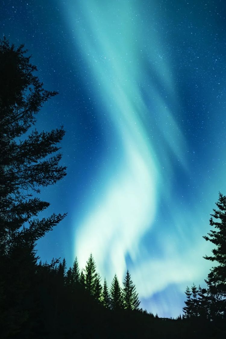 第277期:特朗普新关税再临?《EVA》官宣新作;东京晴空塔电梯突发故障?樱桃小丸子联动蜡笔小新;冬奥收官 | 百通板 第277期:特朗普新关税再临?《EVA》官宣新作;东京晴空塔电梯突发故障?樱桃小丸子联动蜡笔小新;冬奥收官 | 百通板