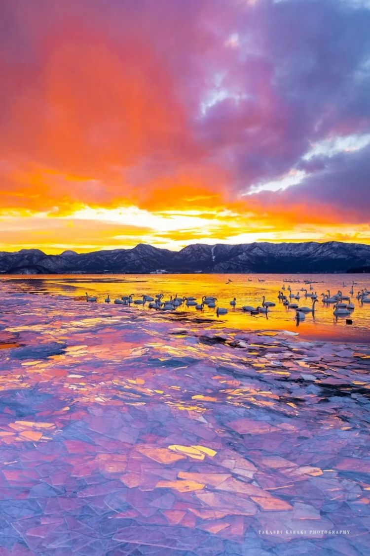 第277期:特朗普新关税再临?《EVA》官宣新作;东京晴空塔电梯突发故障?樱桃小丸子联动蜡笔小新;冬奥收官 | 百通板 第277期:特朗普新关税再临?《EVA》官宣新作;东京晴空塔电梯突发故障?樱桃小丸子联动蜡笔小新;冬奥收官 | 百通板