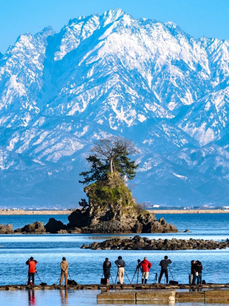 第277期:特朗普新关税再临?《EVA》官宣新作;东京晴空塔电梯突发故障?樱桃小丸子联动蜡笔小新;冬奥收官 | 百通板 第277期:特朗普新关税再临?《EVA》官宣新作;东京晴空塔电梯突发故障?樱桃小丸子联动蜡笔小新;冬奥收官 | 百通板