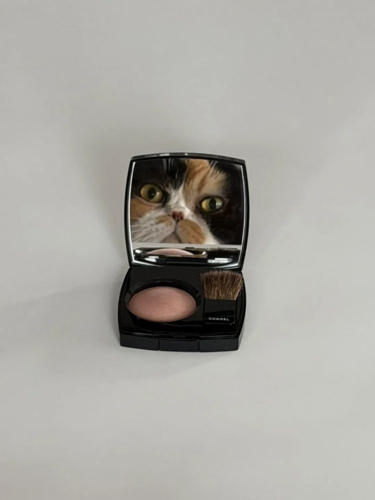 第277期:特朗普新关税再临?《EVA》官宣新作;东京晴空塔电梯突发故障?樱桃小丸子联动蜡笔小新;冬奥收官 | 百通板 第277期:特朗普新关税再临?《EVA》官宣新作;东京晴空塔电梯突发故障?樱桃小丸子联动蜡笔小新;冬奥收官 | 百通板