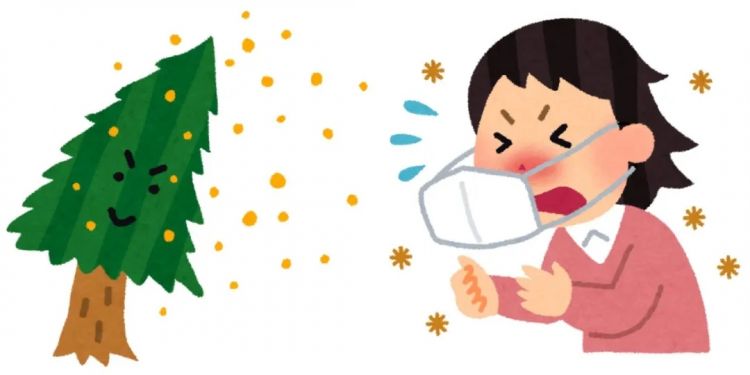日本的花粉来了!今年堪比“致死量”级别…… 日本的花粉来了!今年堪比“致死量”级别……