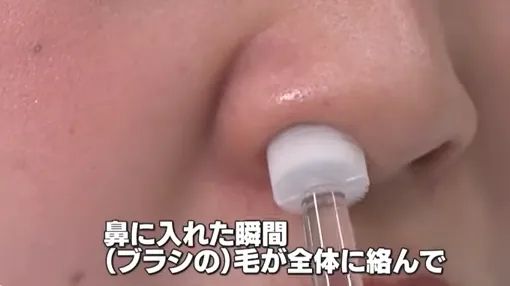 日本的花粉来了!今年堪比“致死量”级别…… 日本的花粉来了!今年堪比“致死量”级别……