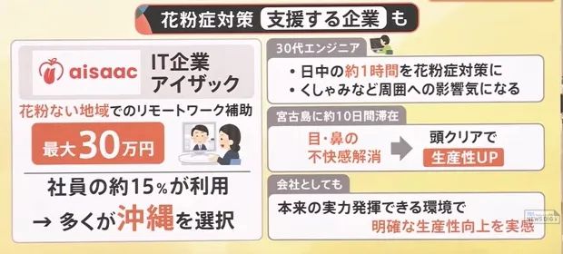 日本的花粉来了!今年堪比“致死量”级别…… 日本的花粉来了!今年堪比“致死量”级别……