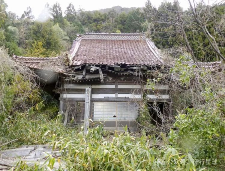 中国老板，一年为上万日本人送葬