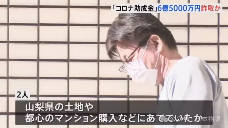 大案件：骗取日本政府补贴6.5亿，还买地买楼，中国籍夫妇被捕……