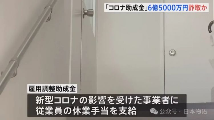 大案件：骗取日本政府补贴6.5亿，还买地买楼，中国籍夫妇被捕……