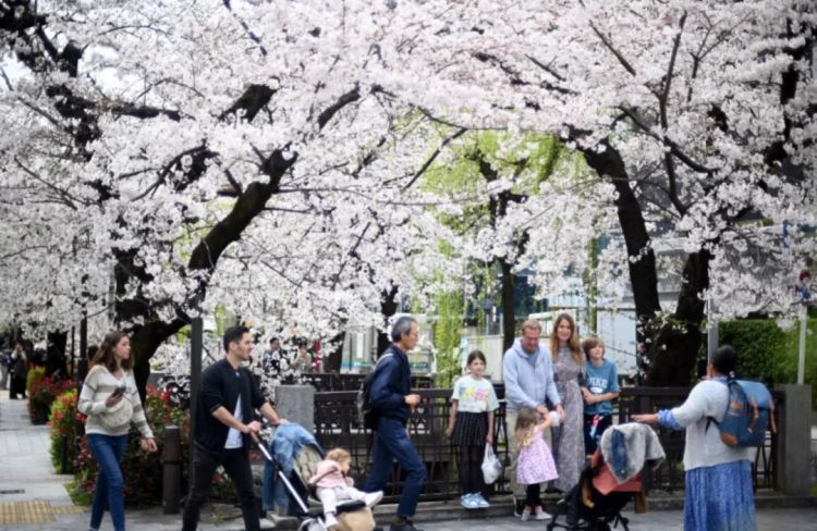 第279期:日本将征单身税?任天堂起诉特朗普?富士山再发登山事故;吴彦祖接替木村拓哉?| 百通板 第279期:日本将征单身税?任天堂起诉特朗普?富士山再发登山事故;吴彦祖接替木村拓哉?| 百通板