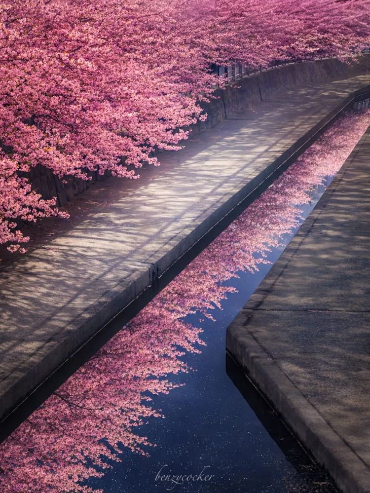 第279期:日本将征单身税?任天堂起诉特朗普?富士山再发登山事故;吴彦祖接替木村拓哉?| 百通板 第279期:日本将征单身税?任天堂起诉特朗普?富士山再发登山事故;吴彦祖接替木村拓哉?| 百通板