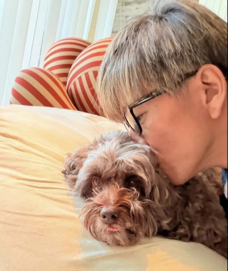 木村拓哉随手发了一张家里照片,网友却盯着豪宅看了半天! 木村拓哉随手发了一张家里照片,网友却盯着豪宅看了半天!