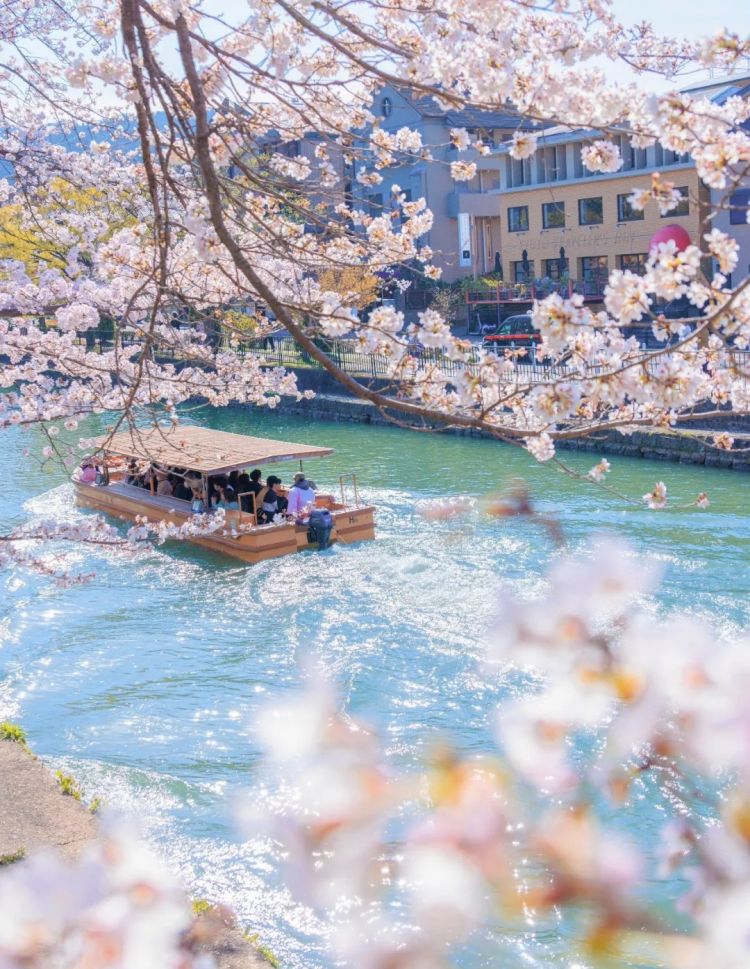 第280期：高市早苗否决女性天皇论？本田汽车估算巨额赤字？经典日剧《深夜食堂》将拍续集；第49届日本电影学院奖 | 百通板