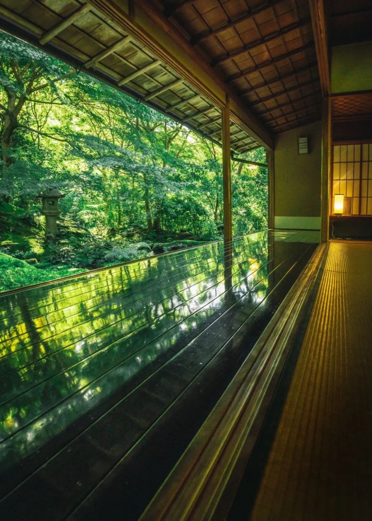 第280期：高市早苗否决女性天皇论？本田汽车估算巨额赤字？经典日剧《深夜食堂》将拍续集；第49届日本电影学院奖 | 百通板