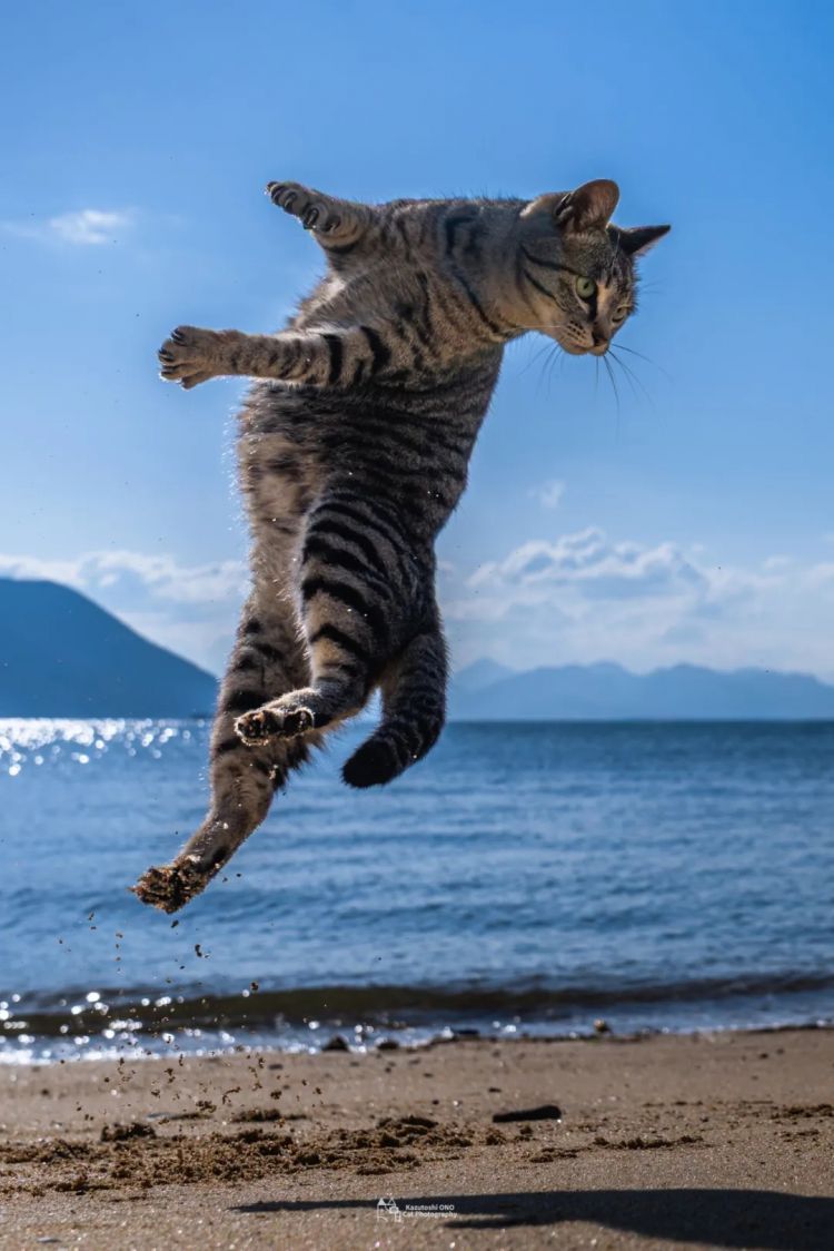 第280期：高市早苗否决女性天皇论？本田汽车估算巨额赤字？经典日剧《深夜食堂》将拍续集；第49届日本电影学院奖 | 百通板