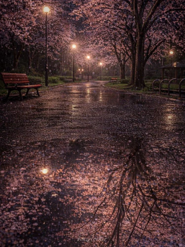 第280期：高市早苗否决女性天皇论？本田汽车估算巨额赤字？经典日剧《深夜食堂》将拍续集；第49届日本电影学院奖 | 百通板