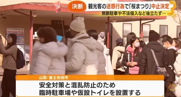 日本的樱花开了，为什么富士山下的樱花祭被叫停