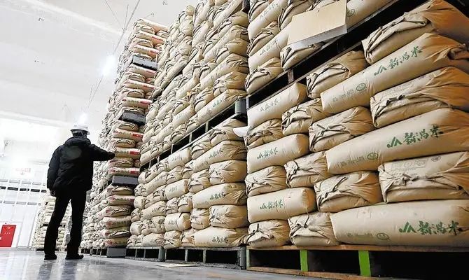 令和米荒持续这么久了，日本大米的价格现在怎么样了？