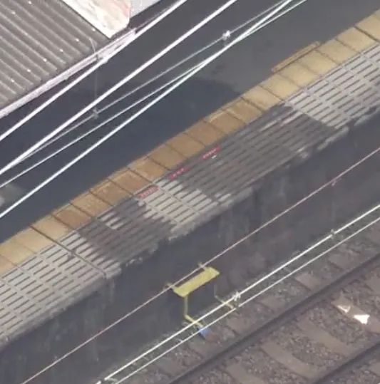 日本男子跳轨轻生被电车撞飞，中国女游客遭“人体炮弹”砸中，丈夫拼命护妻：她是我的命！