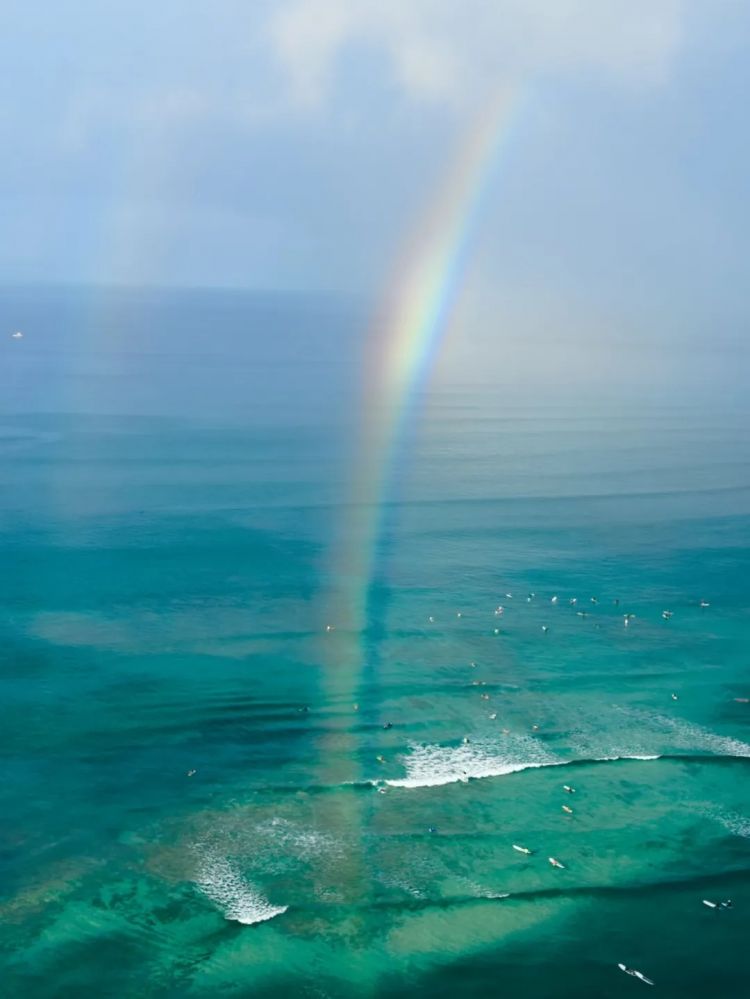 第282期：东京万人集会抗议高市早苗修宪？自卫队军官闯入中国大使馆；日本或于4月实现学校免费供餐？内田有纪X柏原崇秘密完婚？| 百通板