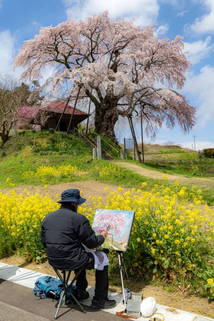 第284期：东京又发钱了？京都11岁男童遗体发现 其父涉嫌抛尸？藤井风首登科切拉；是枝裕和再入围戛纳 | 百通板