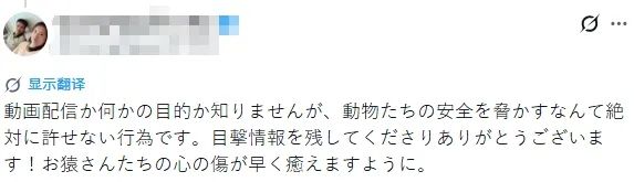 两名美国人头戴表情包闯日本动物园猴山，疑似宣传虚拟货币？日网：猴子都比他们有人性！