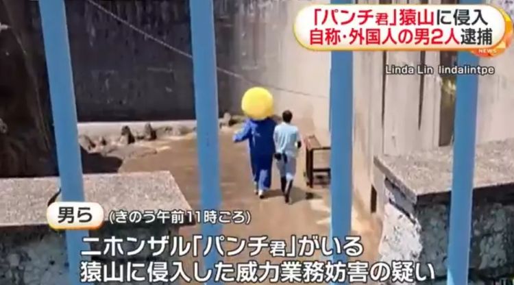 两名美国人头戴表情包闯日本动物园猴山，疑似宣传虚拟货币？日网：猴子都比他们有人性！