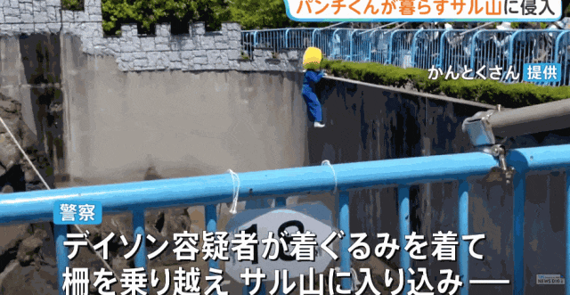 两名美国人头戴表情包闯日本动物园猴山，疑似宣传虚拟货币？日网：猴子都比他们有人性！