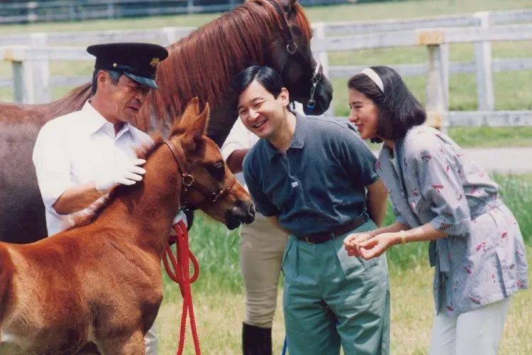 “这一生我会用尽全力守护你”：日本天皇夫妇成婚33周年，重温两人那些治愈温柔的笑容