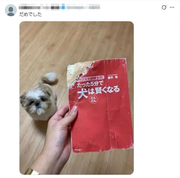日本网友又在瞎说什么大实话？第60回