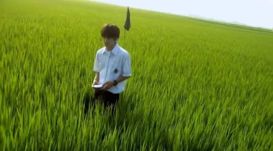 明明是纯爱大师,为什么岩井俊二比谁都“残酷”? 明明是纯爱大师,为什么岩井俊二比谁都“残酷”?
