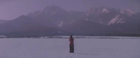 明明是纯爱大师,为什么岩井俊二比谁都“残酷”? 明明是纯爱大师,为什么岩井俊二比谁都“残酷”?