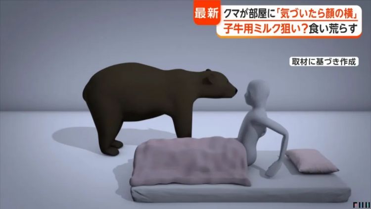 野猪街头打擂台,黑熊纵享“霸王餐”……日本迎来野生动物暑期“City Walk” 野猪街头打擂台,黑熊纵享“霸王餐”……日本迎来野生动物暑期“City Walk”