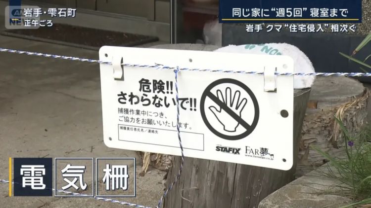 野猪街头打擂台,黑熊纵享“霸王餐”……日本迎来野生动物暑期“City Walk” 野猪街头打擂台,黑熊纵享“霸王餐”……日本迎来野生动物暑期“City Walk”