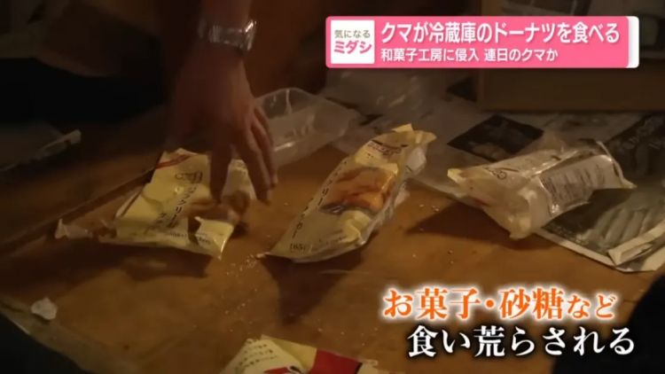野猪街头打擂台,黑熊纵享“霸王餐”……日本迎来野生动物暑期“City Walk” 野猪街头打擂台,黑熊纵享“霸王餐”……日本迎来野生动物暑期“City Walk”