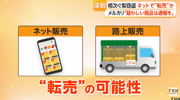 日本果园5000颗梨一夜被偷光，却有人转头在二手平台卖？！果农大哭：我不干了！