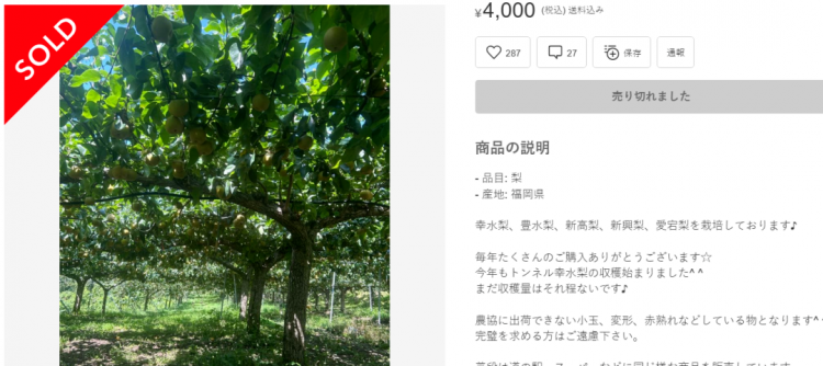 日本果园5000颗梨一夜被偷光，却有人转头在二手平台卖？！果农大哭：我不干了！