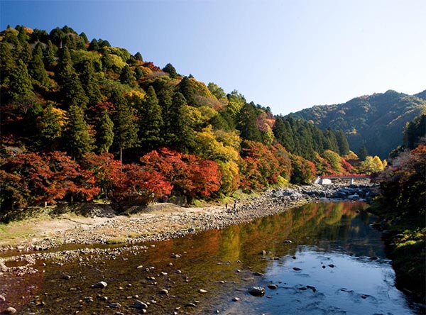 爱知县，日本制造业中心也不缺旅游的魅力