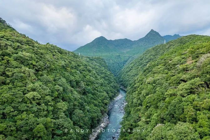 达人游记︱自然、美食与慢生活，九州南部的休闲之旅