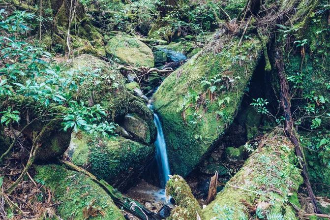 达人游记︱自然、美食与慢生活，九州南部的休闲之旅