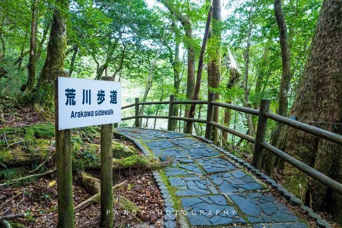 达人游记︱自然、美食与慢生活，九州南部的休闲之旅