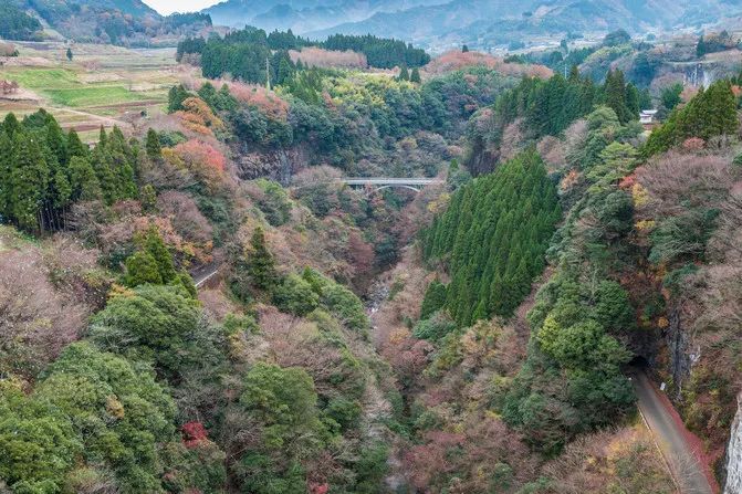 达人游记︱自然、美食与慢生活，九州南部的休闲之旅