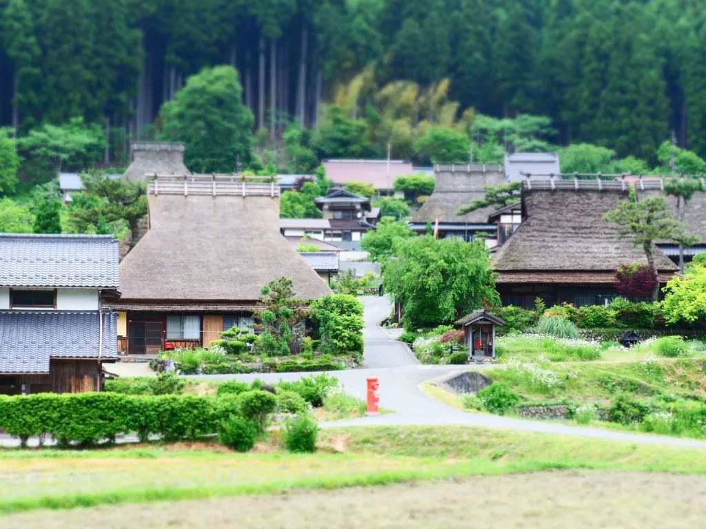 新手京都自由行攻略！七大必访圣地带你玩转京都