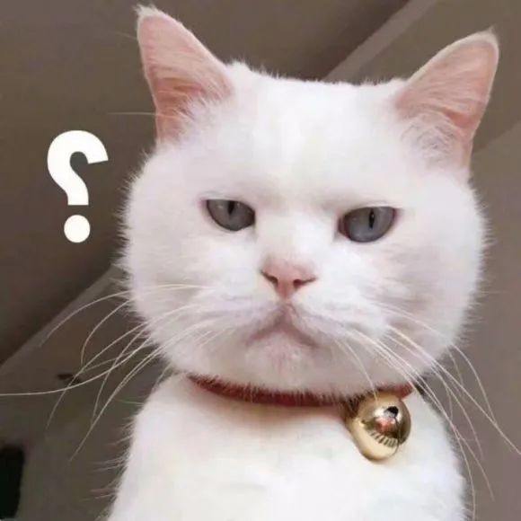 全日本最逗比的县,是时候安利给你了! 全日本最逗比的县,是时候安利给你了!