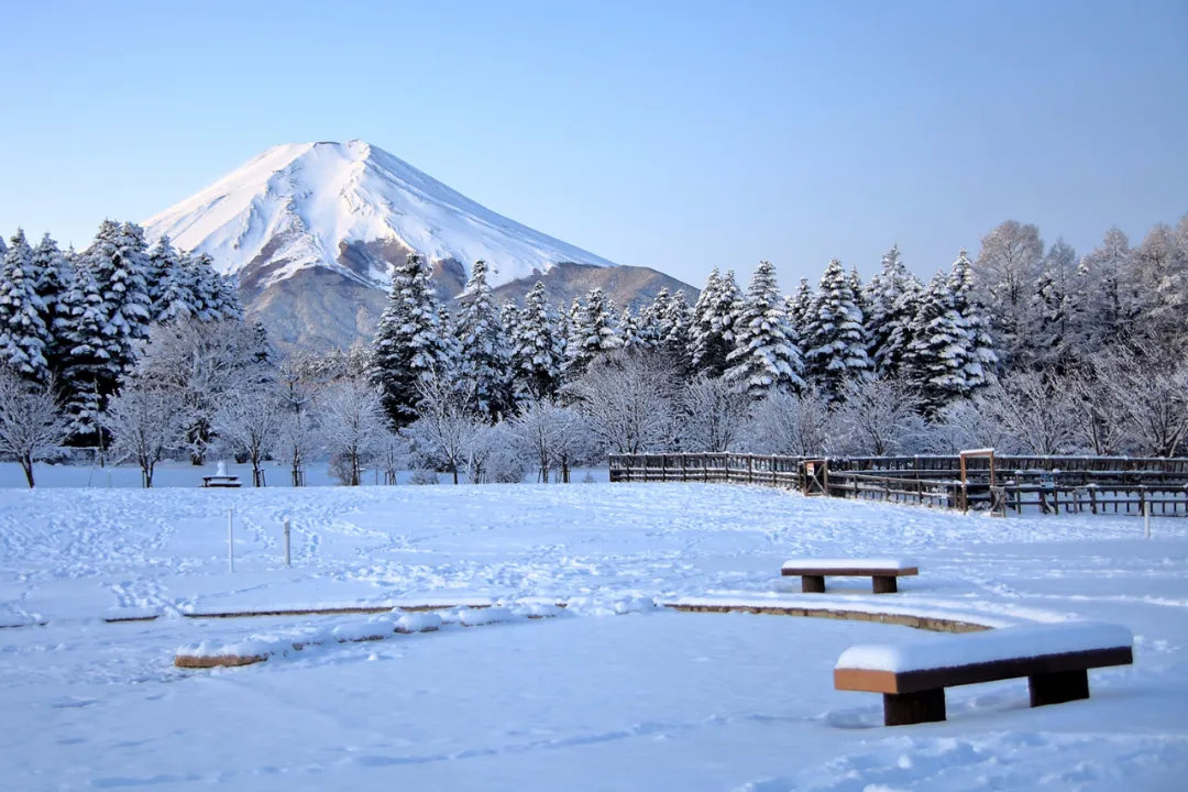 日本旅行错峰出游指南